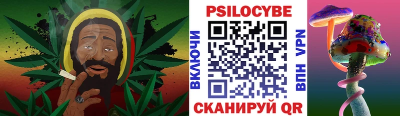Галлюциногенные грибы Psilocybine cubensis  hydra сайт  Кинель  как найти закладки 